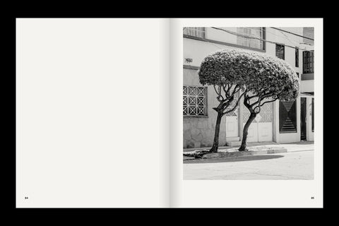 Rubén Montesinos - A Guide on Gardening