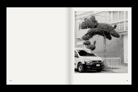 Rubén Montesinos - A Guide on Gardening