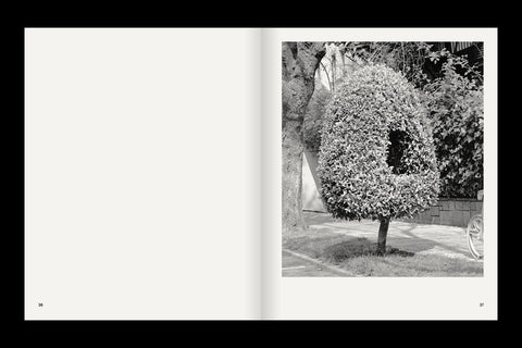 Rubén Montesinos - A Guide on Gardening