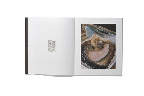 Rita Puig–Serra - Anatomy of an Oyster