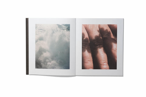 Rita Puig–Serra - Anatomy of an Oyster