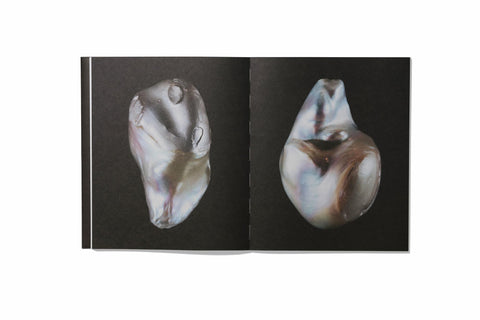 Rita Puig–Serra - Anatomy of an Oyster