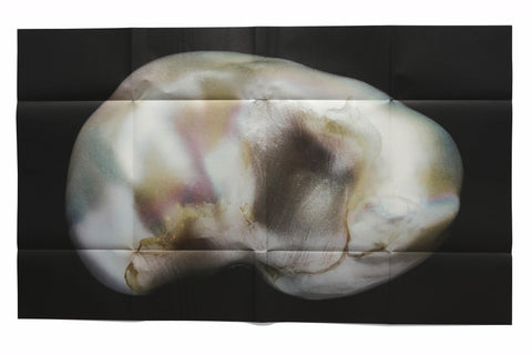 Rita Puig–Serra - Anatomy of an Oyster