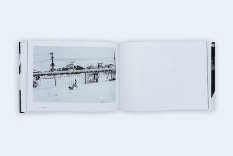 Nobuyoshi Araki - Sentimental Journey 1971- 2017