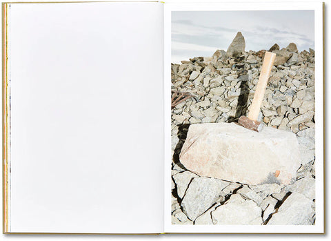 Lisa Barnard - The Canary and the Hammer