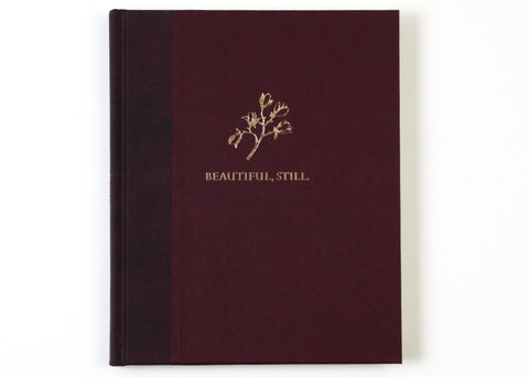 Colby Deal - Beautiful, Still.