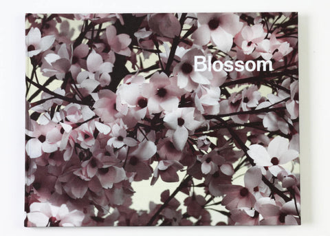 Ben Lerner & Thomas Demand - Blossom