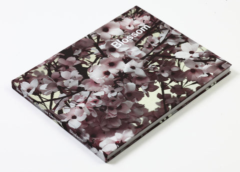 Ben Lerner & Thomas Demand - Blossom