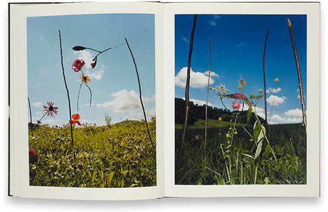 Collier Schorr - Blumen