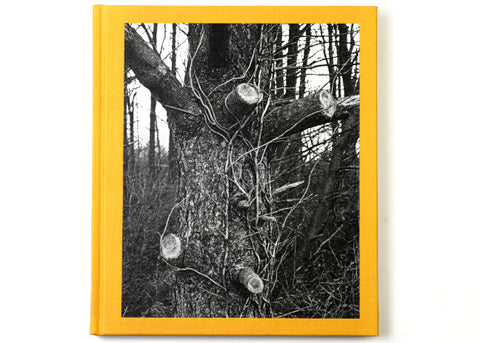 Tim Carpenter - Christmas Day, Bucks Pond Road (signed)