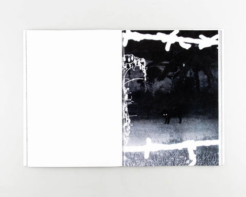 Sam Hutchinson - Charred Cell (signed)