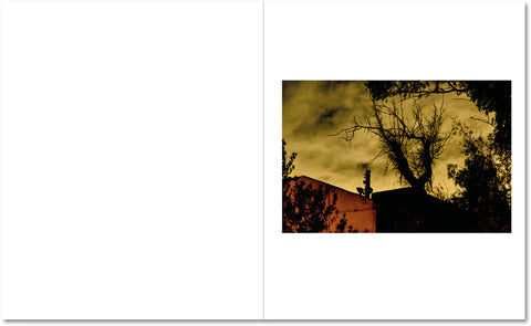 Effie Paleologou - Tales of Estrangement