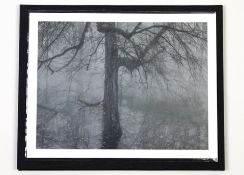 Michael Lange - Fluss - Special Edition with Print