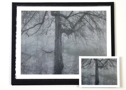 Michael Lange - Fluss - Special Edition with Print