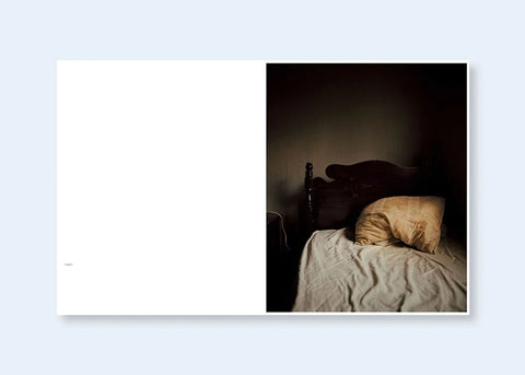 Todd Hido - House Hunting