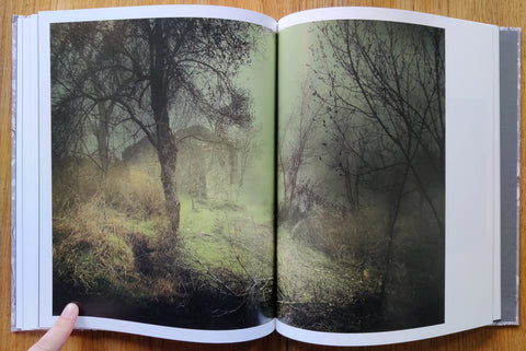 Henri Prestes - We Were Born Before The Wind