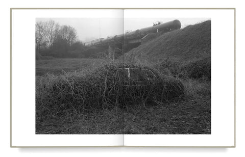 Mark Steinmetz - Taken from Light
