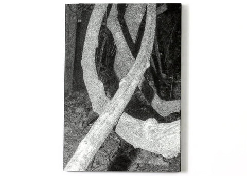 Benjamin Pfau - Isthmus