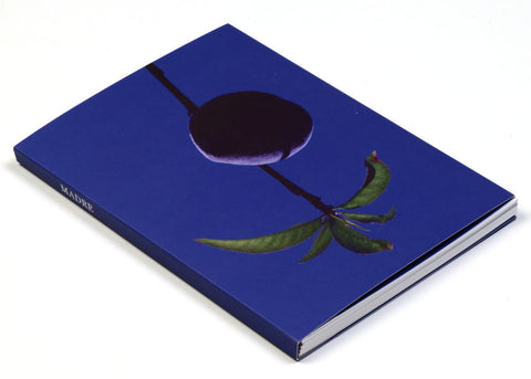 Marisol Mendez - Madre (signed)