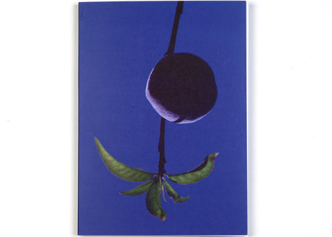 Marisol Mendez - Madre (signed)