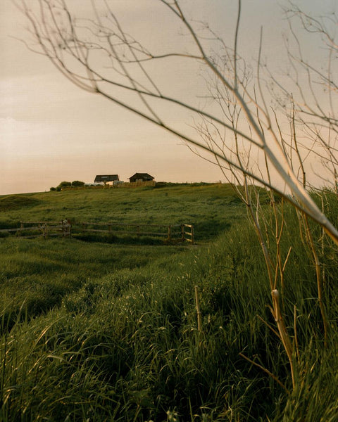 Max Miechowski - Land Loss