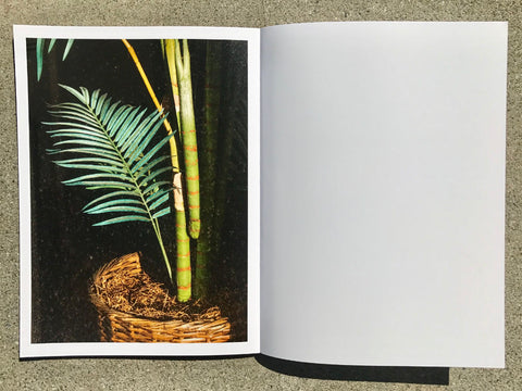 Mike Slack - THE TRANSVERSE PATH or Nature's Little Secret (signed)