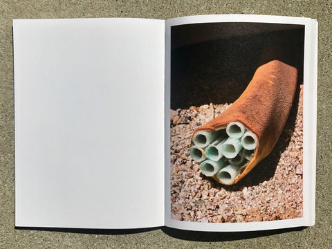 Mike Slack - THE TRANSVERSE PATH or Nature's Little Secret (signed)