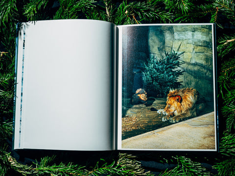 Nikita Teryoshin - O Tannenbaum (signed)
