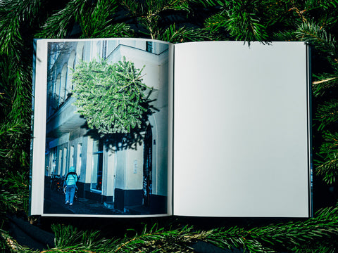 Nikita Teryoshin - O Tannenbaum (signed)