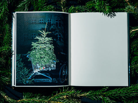Nikita Teryoshin - O Tannenbaum (signed)