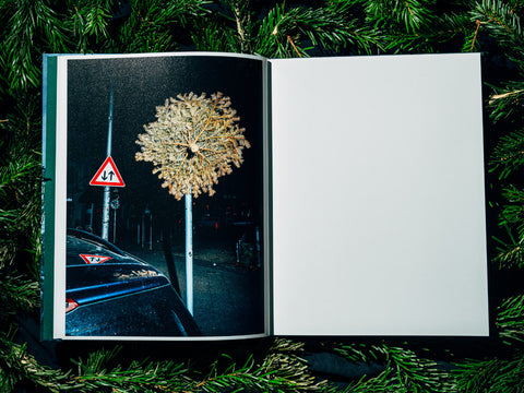 Nikita Teryoshin - O Tannenbaum (signed)