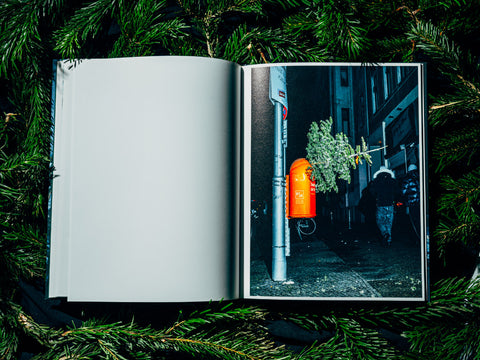 Nikita Teryoshin - O Tannenbaum (signed)