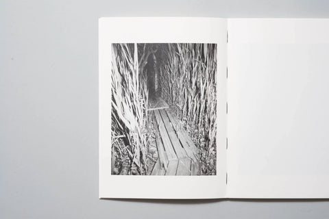 Daniel Rampulla - Wild Place