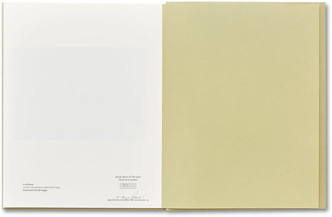 Raymond Meeks - ciprian honey cathedral / errata special edition