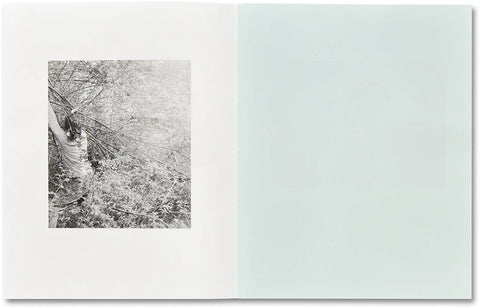 Raymond Meeks - ciprian honey cathedral / errata special edition