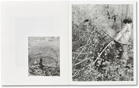 Raymond Meeks - ciprian honey cathedral / errata special edition