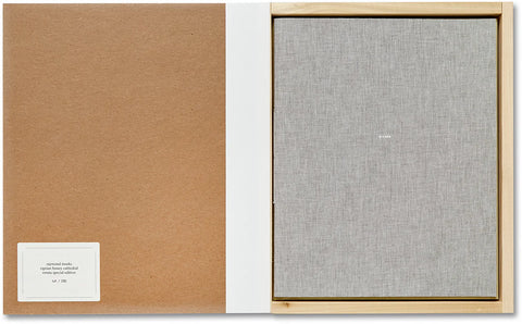 Raymond Meeks - ciprian honey cathedral / errata special edition