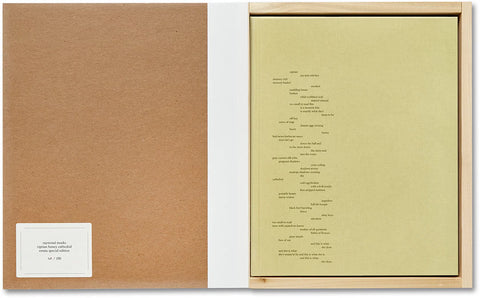 Raymond Meeks - ciprian honey cathedral / errata special edition