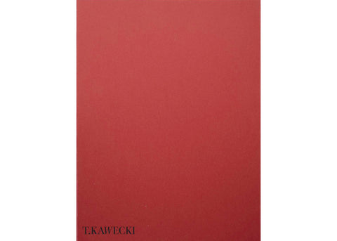 Tomasz Kawecki - In Praise of Shadow