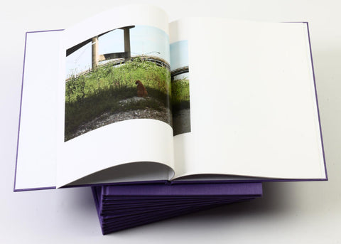 Paul Graham - A Shimmer Of Possibility