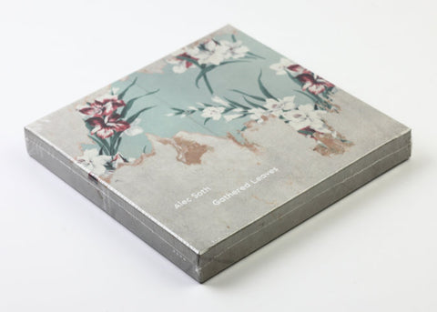 Alec Soth - Gathered Leaves