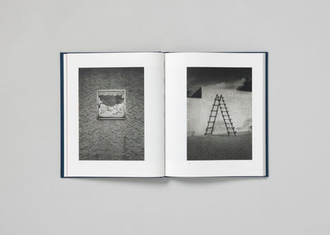 Dominic Turner - False Friends