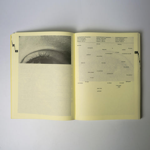 Bianca Oana / Patricia Morosan - Telepoetics: Pratices of Intimacy at a Distance