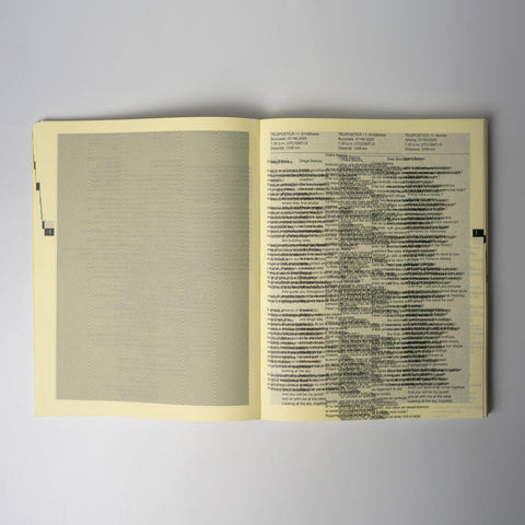 Bianca Oana / Patricia Morosan - Telepoetics: Pratices of Intimacy at a Distance