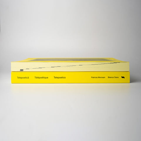 Bianca Oana / Patricia Morosan - Telepoetics: Pratices of Intimacy at a Distance