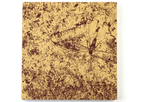 Vanessa Winship - And Time Folds