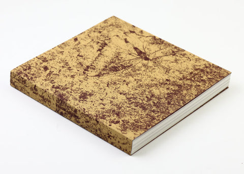 Vanessa Winship - And Time Folds