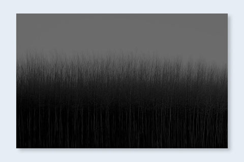 Jeffrey Conley - The Shadow's Veil