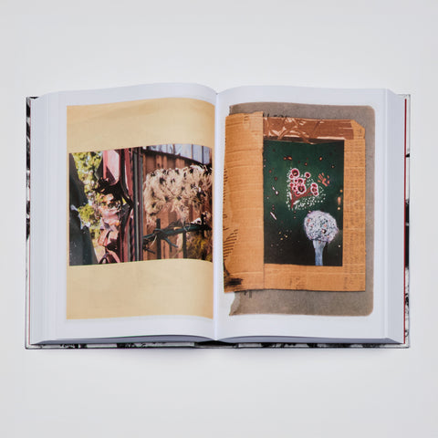 Sasha Kurmaz - Red Horse (signed)