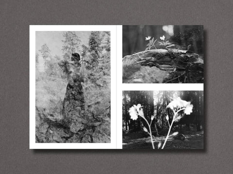Nathalie Ericson - Setanta Zine